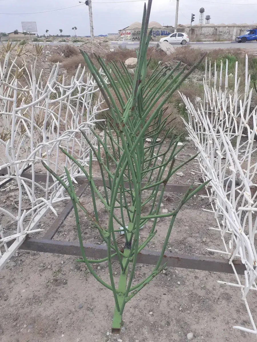 حفاظ دیوار حفاظ دیوار